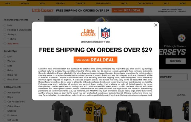 Pittsburgh Steelers checkout page showing Pittsburgh Steelers promo code box | Screenshot taken by SimplyCodes community member on Sep 4, 2025