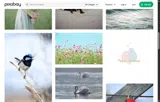 PIXABAY2O coupon verification screenshot