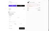 PLATIN4VETS10% coupon verification screenshot