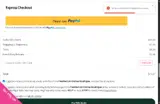 Pleated an Online Boutique coupon verification screenshot