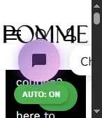 Pomme US checkout page showing Pomme US promo code box | Screenshot taken by SimplyCodes community member on Oct 6, 2025