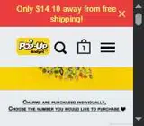 Pop-up Gadget coupon verification screenshot