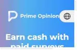 Prime Opinion US coupon verification screenshot