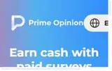 Prime Opinion US coupon verification screenshot