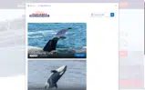 Princess Monterey Whale Watching coupon verification screenshot