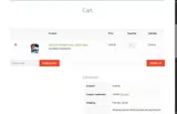 motomoto coupon verification screenshot