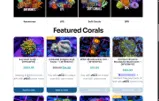 WEEKLYSPECIAL coupon verification screenshot