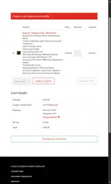 HOLTWORKS10 coupon verification screenshot