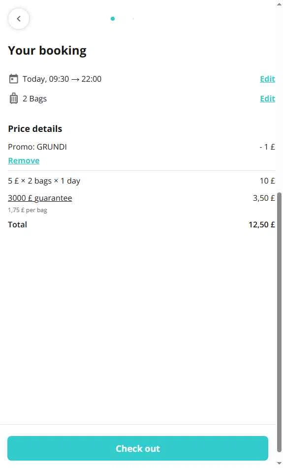 Radical Storage checkout page showing Radical Storage promo code box | Screenshot taken by SimplyCodes community member on Jul 29, 2025