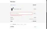 ALL20 coupon verification screenshot