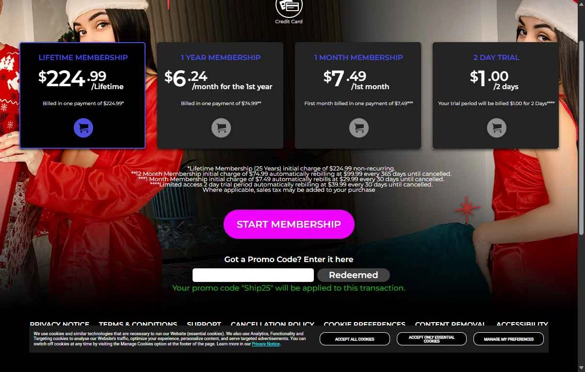 Reality Kings checkout page showing Reality Kings promo code box | Screenshot taken by SimplyCodes community member on Dec 29, 2025