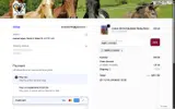 SIMPLYCODES coupon verification screenshot