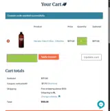 WELCOME10 coupon verification screenshot
