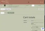 YAYFALL coupon verification screenshot