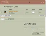 ShoeSALE coupon verification screenshot