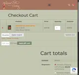 ShoeSALE coupon verification screenshot