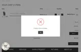 Rhinestones Unlimited coupon verification screenshot