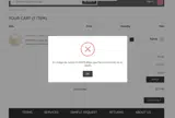 Rhinestones Unlimited coupon verification screenshot