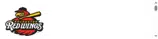 Rochester Red Wings coupon verification screenshot