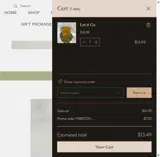 FREETODAYDAILY coupon verification screenshot