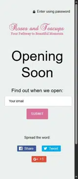 BFCM coupon verification screenshot