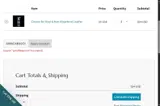 GRINCHBEGONE20 coupon verification screenshot