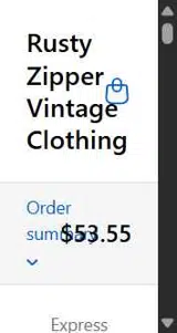 FRIZZLES coupon verification screenshot