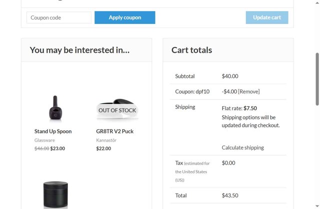 RYOT checkout page showing RYOT coupon code box | Screenshot taken by SimplyCodes community member on Sep 3, 2025
