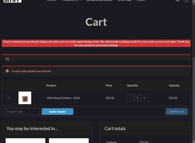 RYOT checkout page showing RYOT coupon code box | Screenshot taken by SimplyCodes community member on Sep 6, 2025
