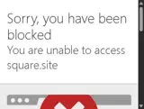 Salon Brands coupon verification screenshot