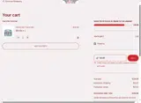 Salon Brands coupon verification screenshot