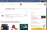 LAMINEYABIEN coupon verification screenshot