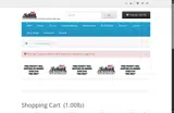 Schiek coupon verification screenshot