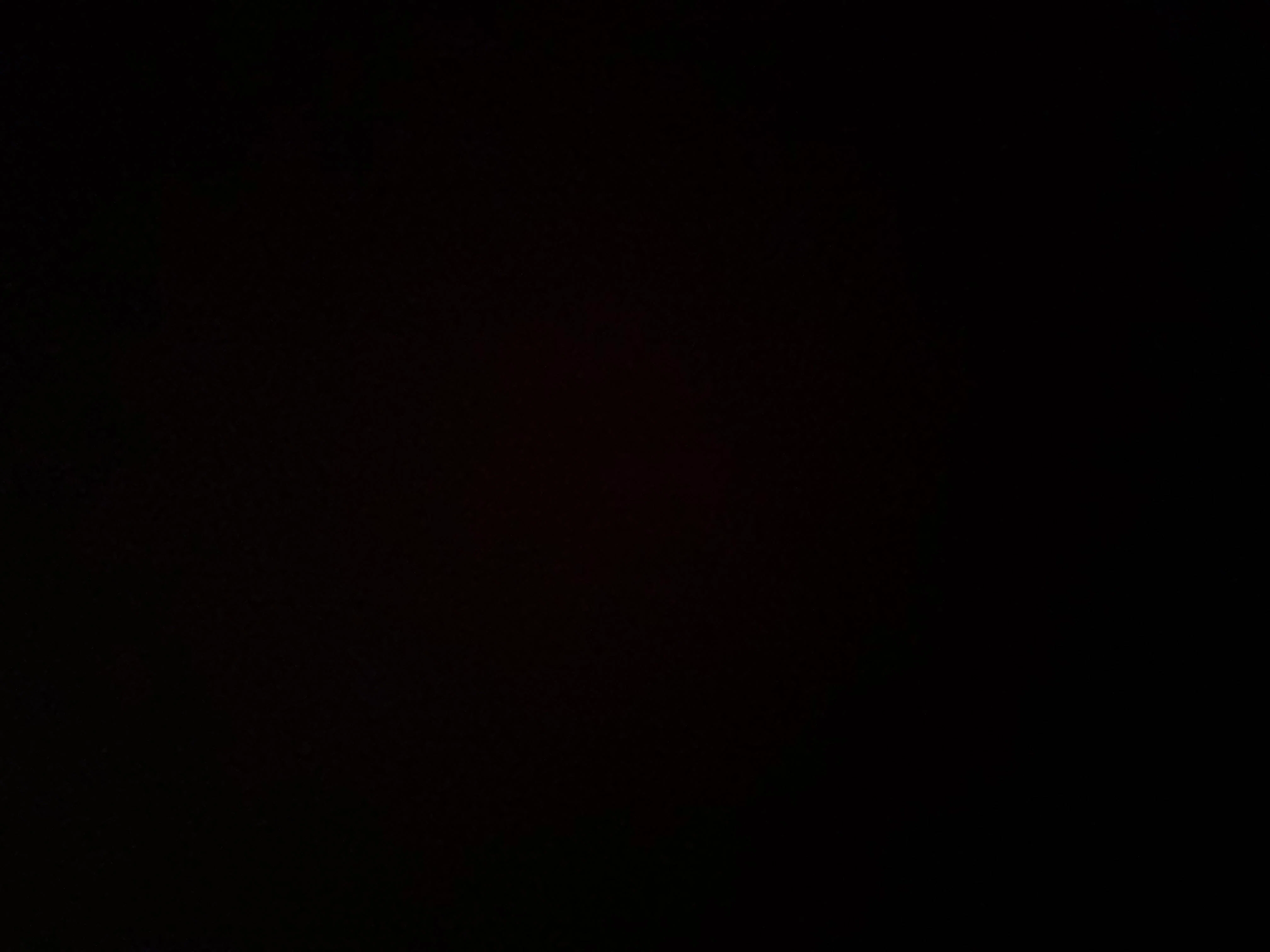 Schwank Grills discount code screenshot showing code LEVI79340 applied at Schwank Grills checkout page. Uploaded by SimplyCodes community member ShieldTitan1580 on Dec 14, 2025