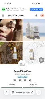 DIANACOVEI coupon verification screenshot