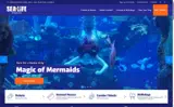 PVUPGRADE coupon verification screenshot