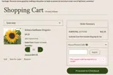 LUCKY17 coupon verification screenshot