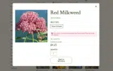 WELCOME10 coupon verification screenshot