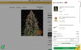 218VIP coupon verification screenshot