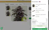 YOURWEED10 coupon verification screenshot