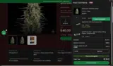 Seedsman coupon verification screenshot