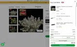 218VIP coupon verification screenshot