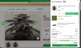 Seedsman coupon verification screenshot
