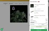 mydankdog coupon verification screenshot