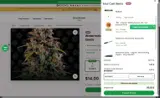 Seedsman coupon verification screenshot