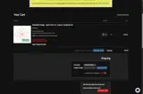 SPINSET20 coupon verification screenshot