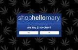Shop Hello Mary coupon verification screenshot