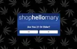 Shop Hello Mary coupon verification screenshot