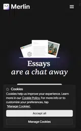 raveslayv coupon verification screenshot