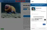 Shrimpy Business coupon verification screenshot